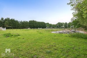 Pond Area- click for photo gallery